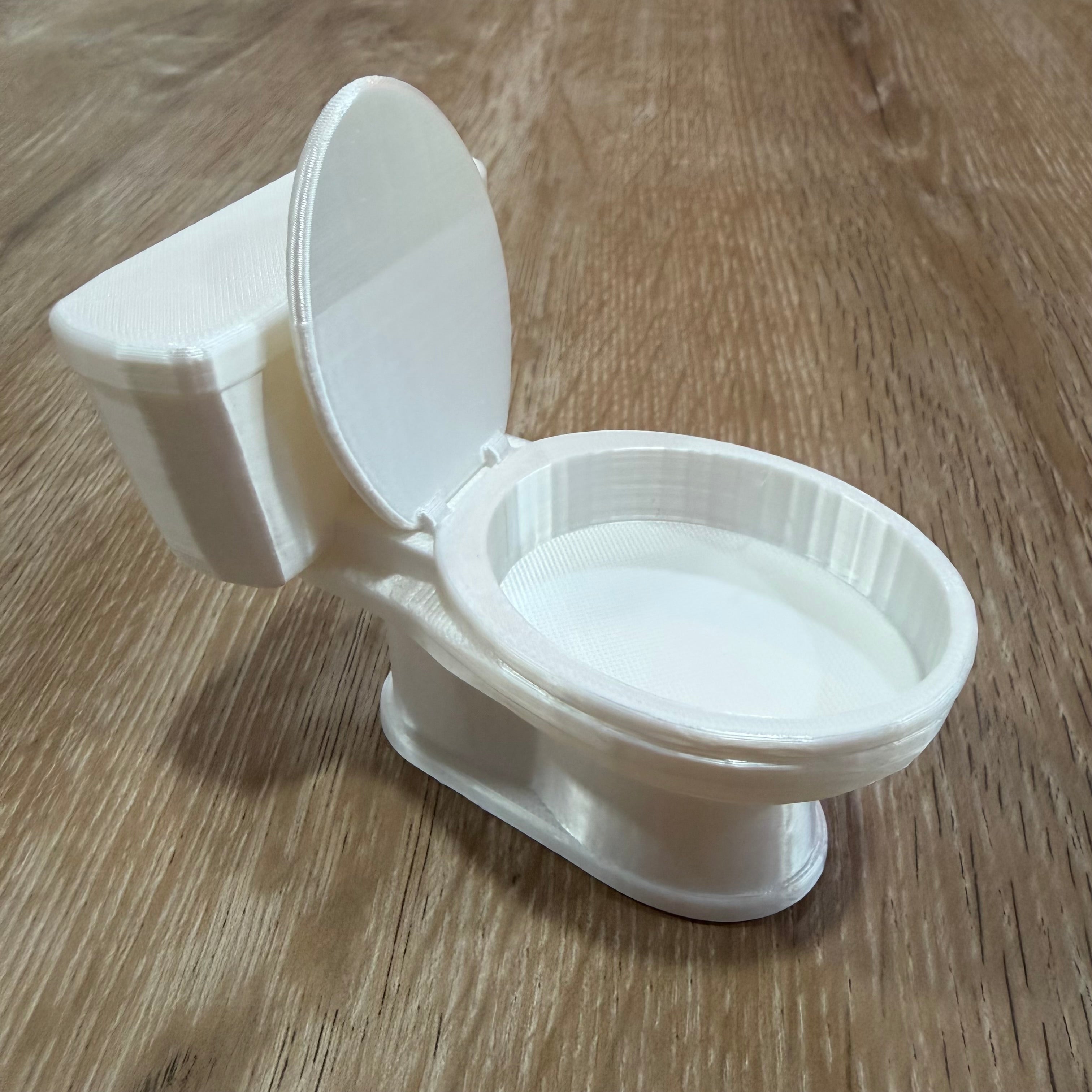 Toilet Dice Dish