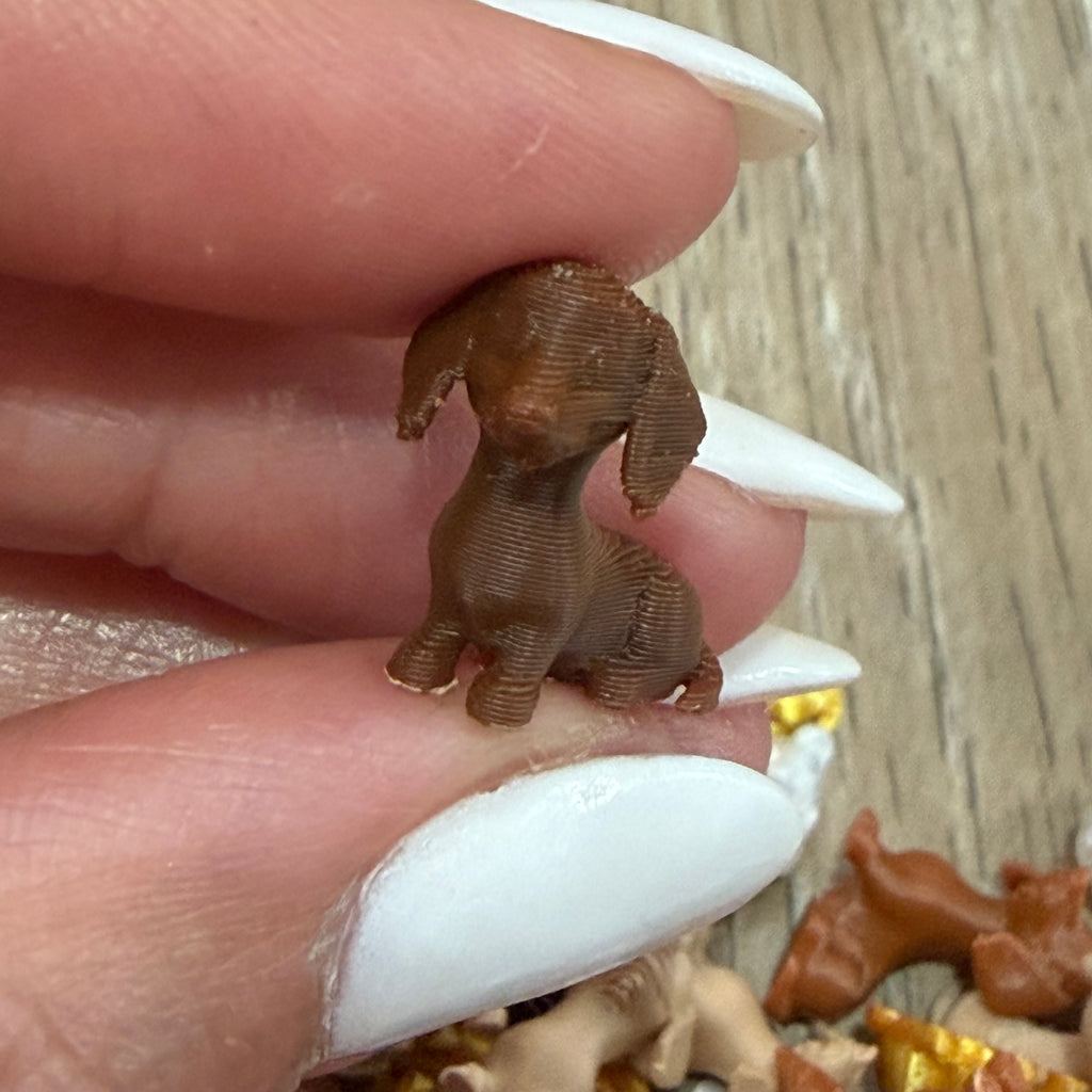 Dachshund Trinkets