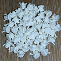 Ghost Trinkets