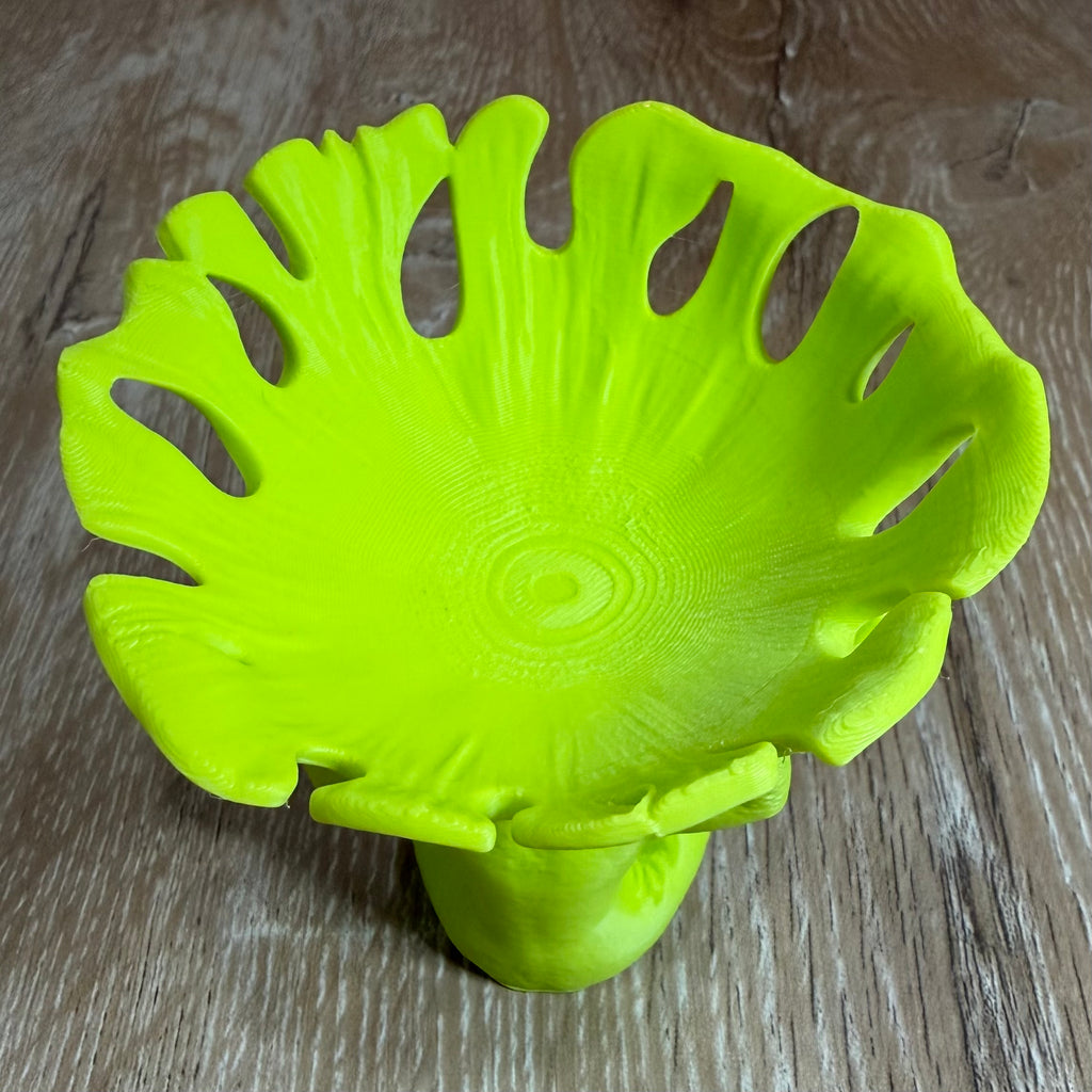 Monkey Dice Dish